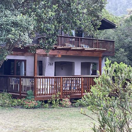 Forest Drive Holiday Home Nature's Valley Exterior photo